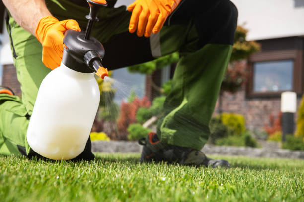 Best Pest Control Near Me in Prescott, AZ