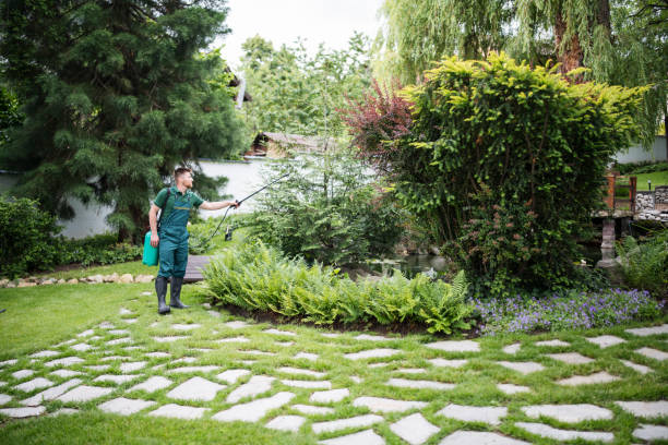 Best Best Pest Control Near Me  in Prescott, AZ