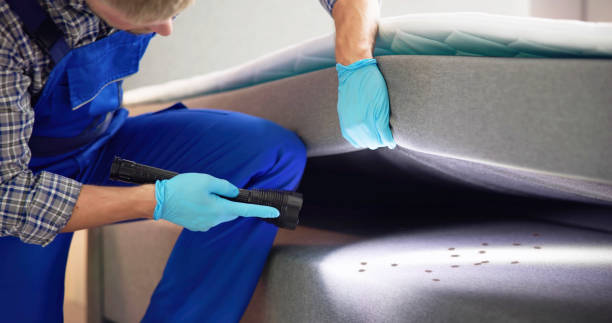Best Mosquito Control Services  in Prescott, AZ