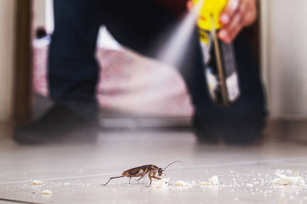 Wildlife Control Services in Prescott, AZ